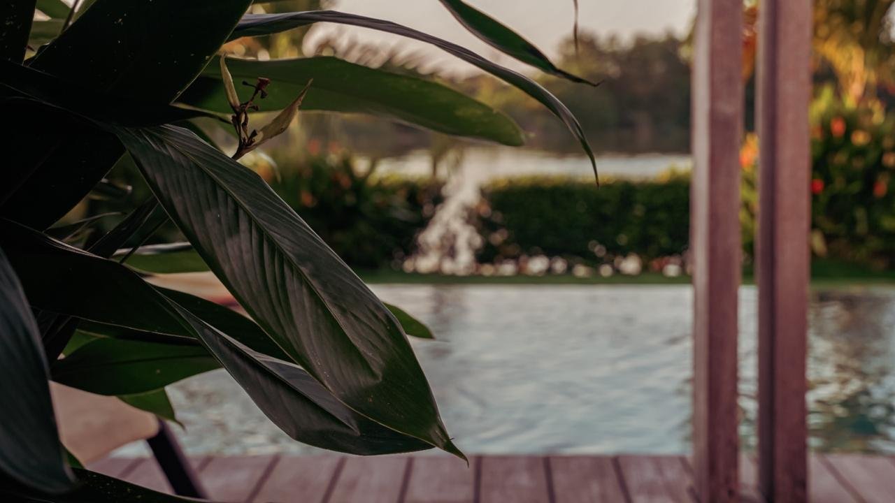 Detalle de la piscina entre el jardín